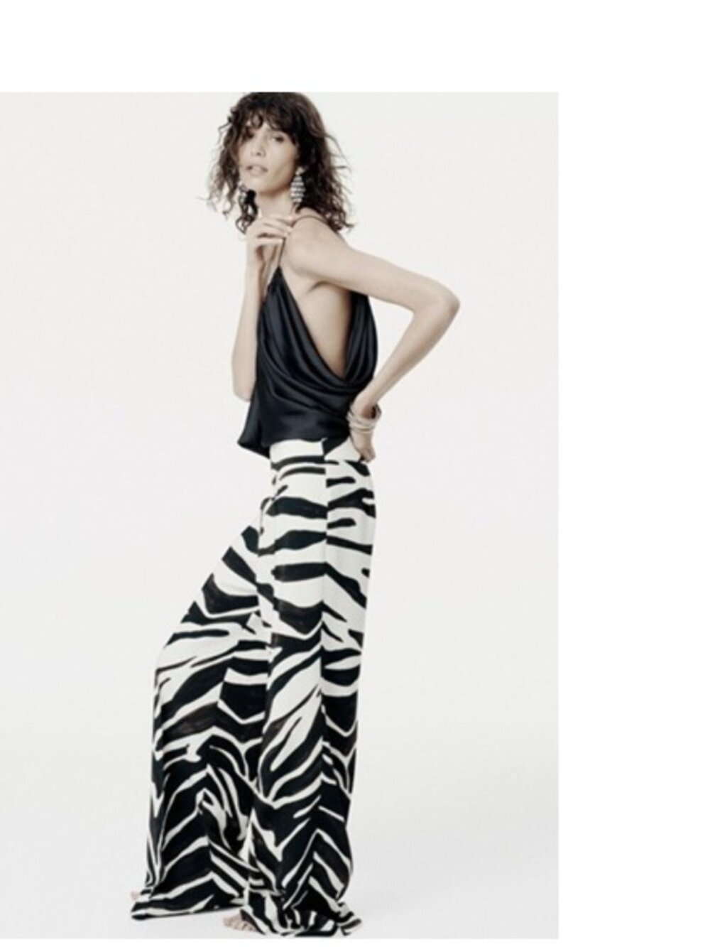 Zara Wide-Leg Zebra Print Pants ZW Collection, M
